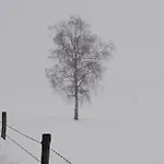 Penzion Haus Seppi 3*