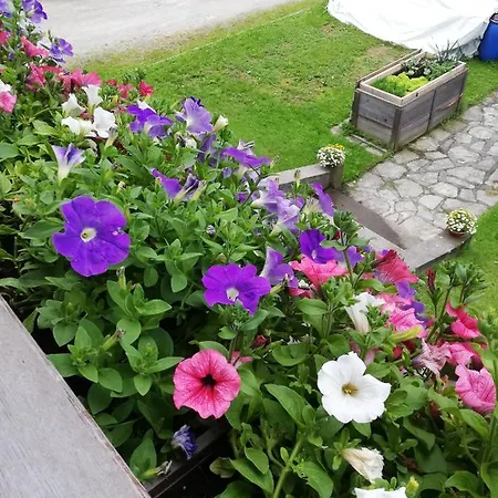 Haus Seppi 3* Neukirchen am Großvenediger