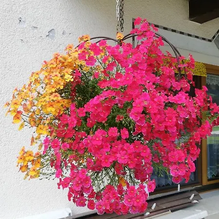 Gasthof Haus Seppi