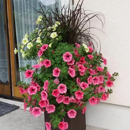 Haus Seppi Neukirchen am Großvenediger