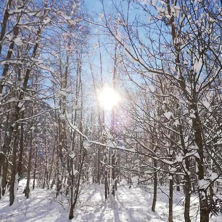 Haus Seppi Konukevi 3*