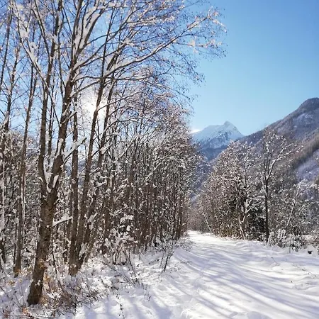 Haus Seppi Konukevi 3*