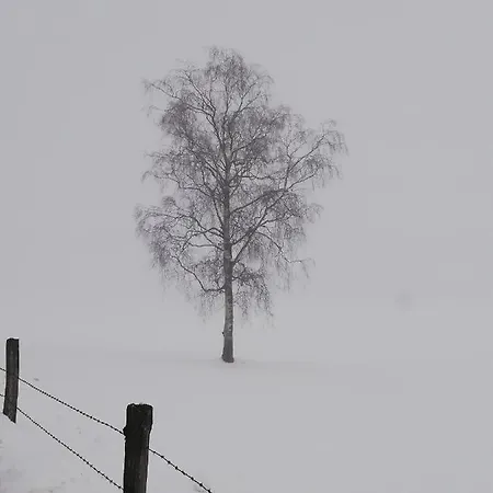 Gasthof Haus Seppi *