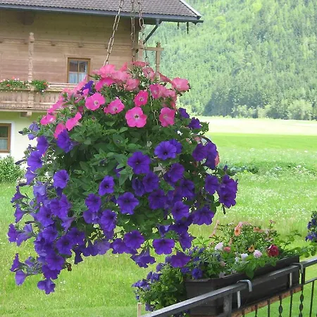 Gasthof Haus Seppi *
