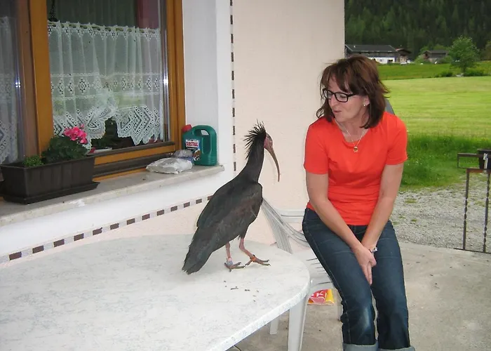 Pensionat Haus Seppi