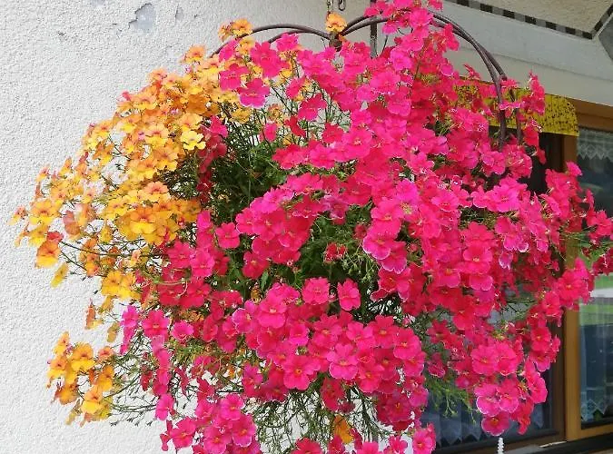 Pensionat Haus Seppi