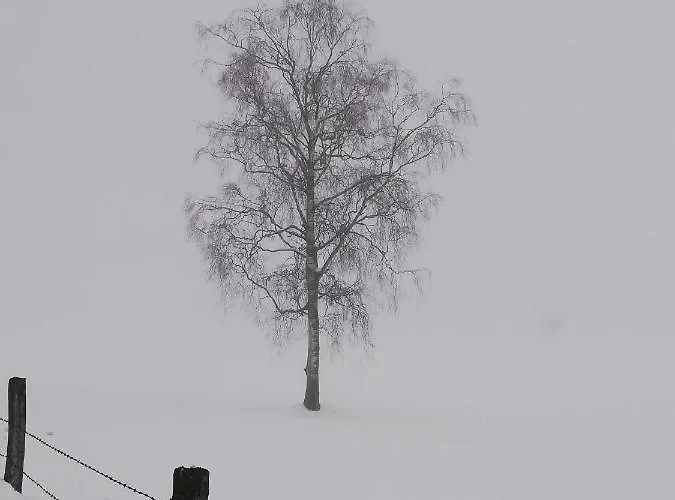 Pensionat Haus Seppi 3*